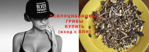 герыч Бородино