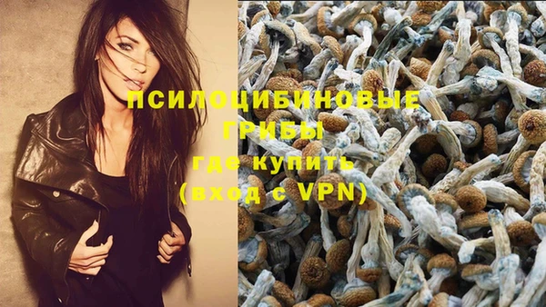 герыч Бородино