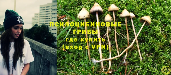СК Ступино